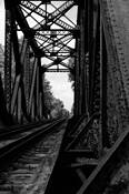 Railed by Sylvia Ford