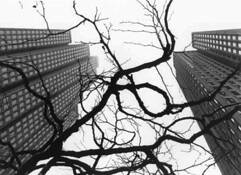 Urban Ecology by Bruce T. Gora