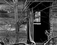 Falling Down House by Dan Richard Barber