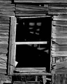 Looking Inside by Dan Richard Barber