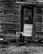 Where's Clyde by Dan Richard Barber