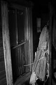 Her Dress by Gregory Collins