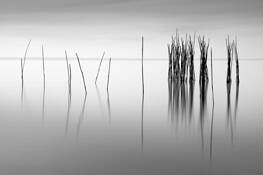 Fishing Poles by Michael Elkan