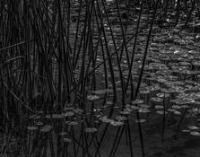 Floating by Dennis Fritsche