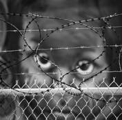 Behind Barbed Wire by Bob Neiman