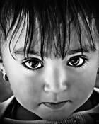 The Eyes Have It by Marvin E. Seiger