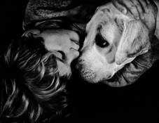 Guard Dog by Nathan Caplan