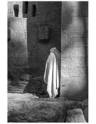 Praying at the Wall by Anne Tapler White