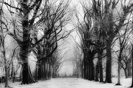 Central Passage by Gwen Solomon