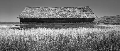 Sunday Driver by Kevin Schwarte