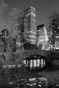 Central Park by Matthew Mu