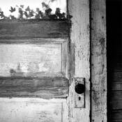 Ivy Door by Lawrence Hamel-Lambert