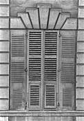 Shutters by Layne Morgan