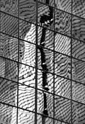 Brickel Ave by Bob Neiman