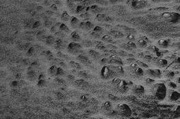Stones in Hibernation by Duschan Tomic