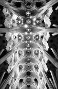 Looking Up to Gaudi by Gerald Shonkwiler