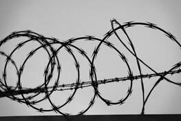Razor Wire Signature by Michael Rubin