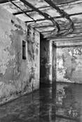Floor Reflection by Marj Green