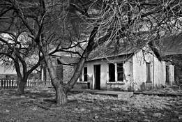 House and Trees. Cuervo NM. 2008 by Marj Green