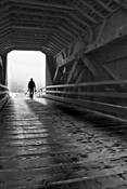 Covered Bridge. Eureka CA. 2007 by Marj Green
