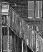 Bodie Windows by Mark Coggins