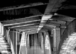 Lines of Support by Mary Knoch