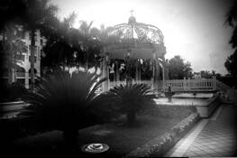 Mist by Melody Davis