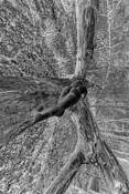 Nude in the Landscape 3 by Julius Friedman