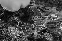 Nude in the Landscape 4 by Julius Friedman