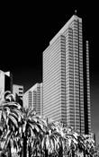 Embarcadero and Palm by Michael Flicek