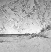 Perception and Memory Entwined by Monika J. Danos