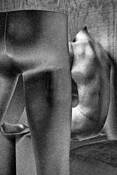 Torso and Legs by Tom Green