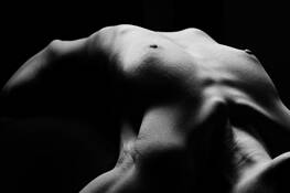 Torso 16 by Dana L. Winkelman