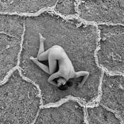 Zygote by Jerry Ranch