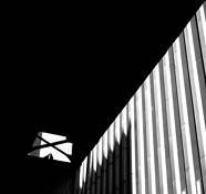 Two Doves by Mirko Vincic