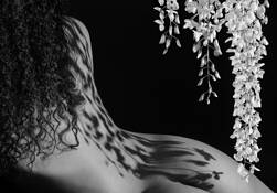 Shadow of Wisteria by Michael Slack