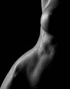 Christi No 2536 by MP Hunt