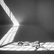 Bending Light by Malcolm Sinclair Lobban