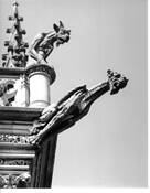 Gargoyle on Top of Biltmore by Robert A. Dawson