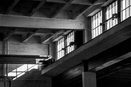 Mare Island Windows by Marj Green