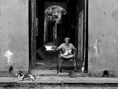 The Cripple by Michael Greig