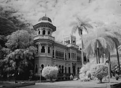 Cienfuegos Palacio Devalle by Stanley E. Harris