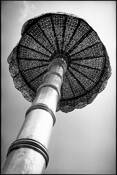 Mushroom by Suart Brafman