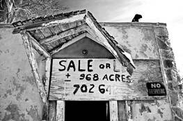 968 Acres More or Less by Susan Stone