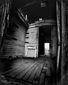 Combat Zone by Tracy Reehal