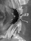 Untitled 4 by James H. Strong