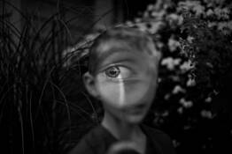 Eye Spy by Tytia Habing