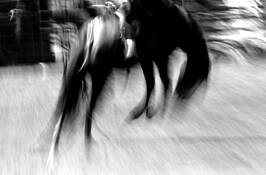 Bucking Bronc Boonville CA by Chere Pafford