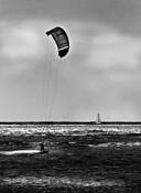 Windsurfer by Peter Ingrasselino