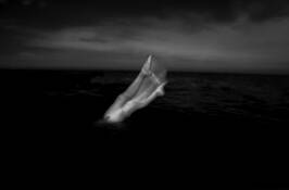 Untitled #4 by Scott Clarke